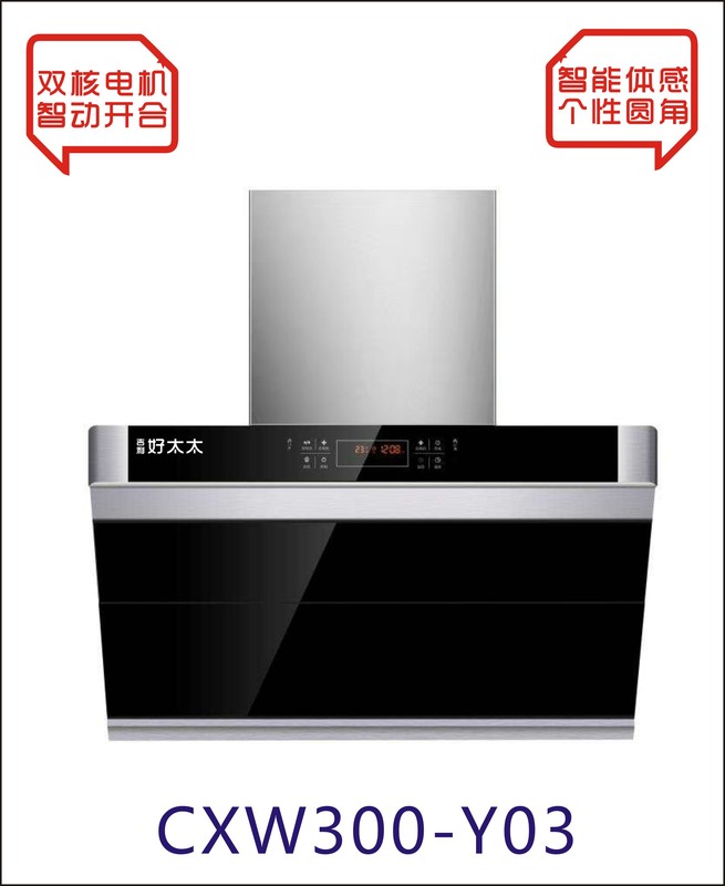 CXW300-Y03.jpg