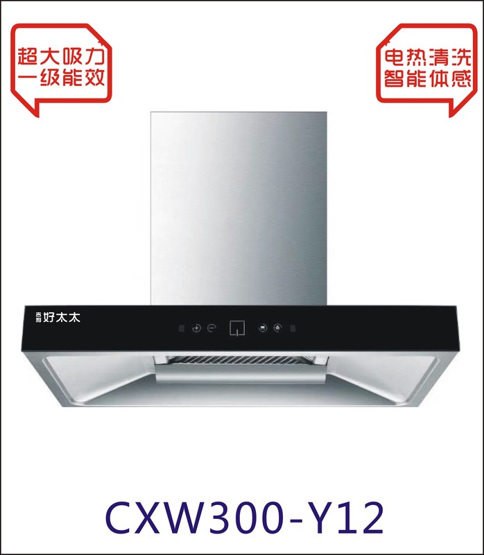 CXW300-Y12.jpg
