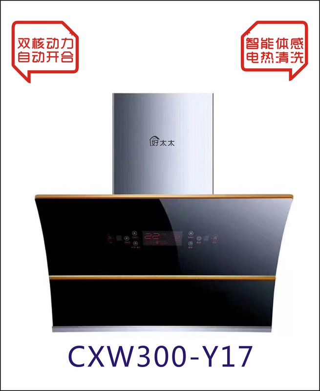 CXW300-Y17.jpg